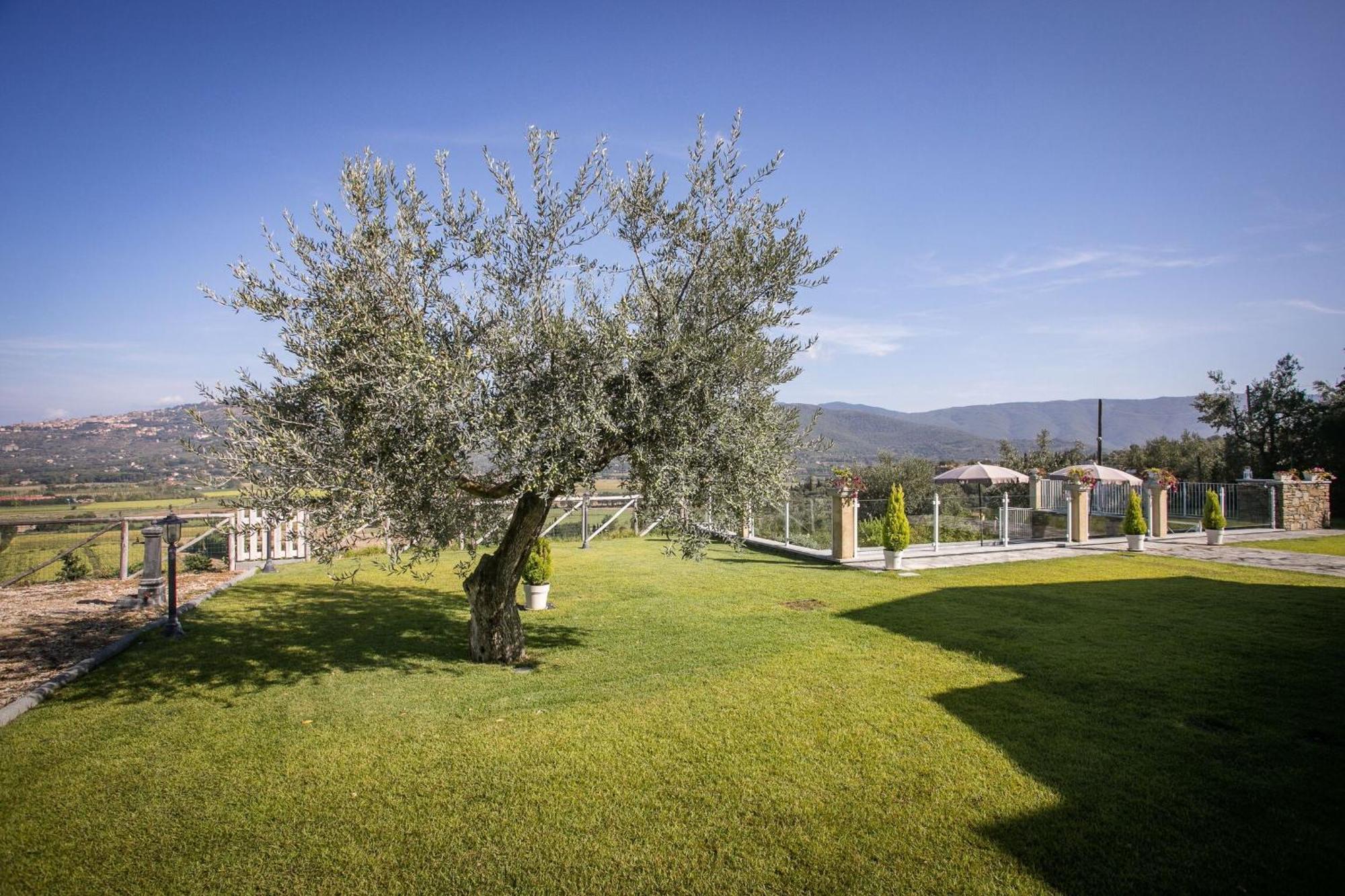 Villa Chiara Кортона Экстерьер фото